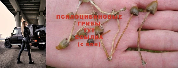 марки nbome Бородино