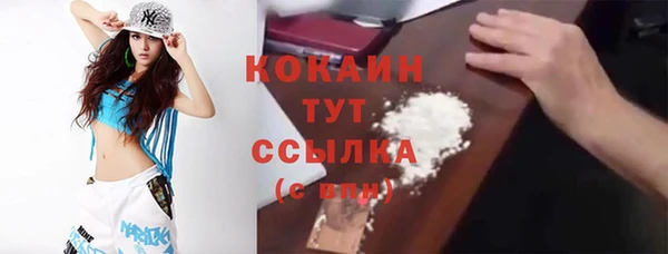 шишки Бронницы