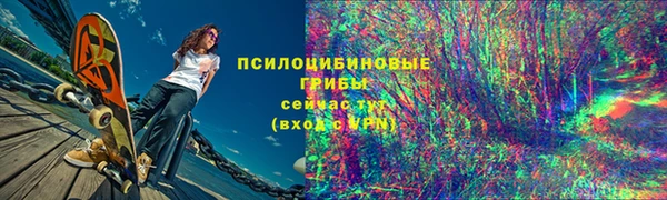 дурь Ахтубинск