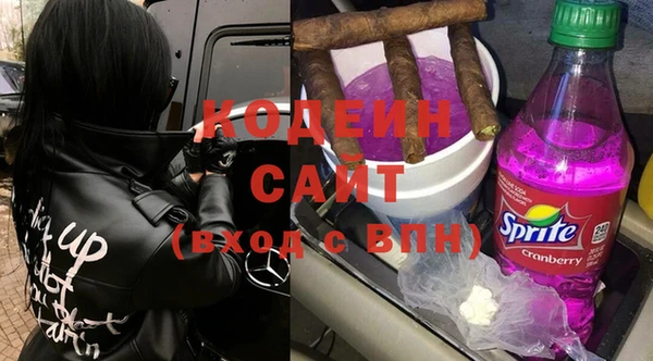 шишки Бронницы