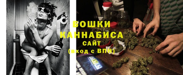 шишки Бронницы