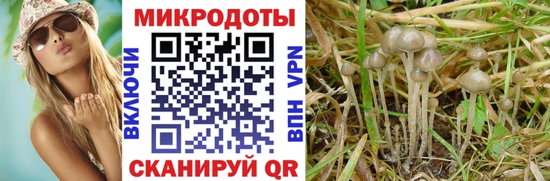 Псилоцибиновые грибы Cubensis  Любим 